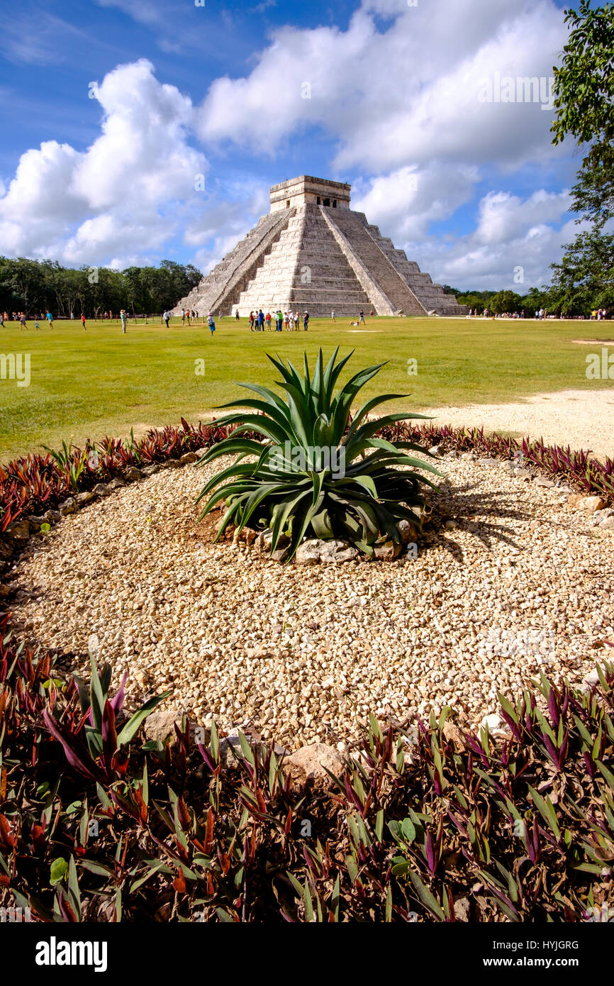 Landschaftsansicht berühmten Chichen Itza Pyramide mit Kaktus im Vordergrund, Mexiko Stockfoto