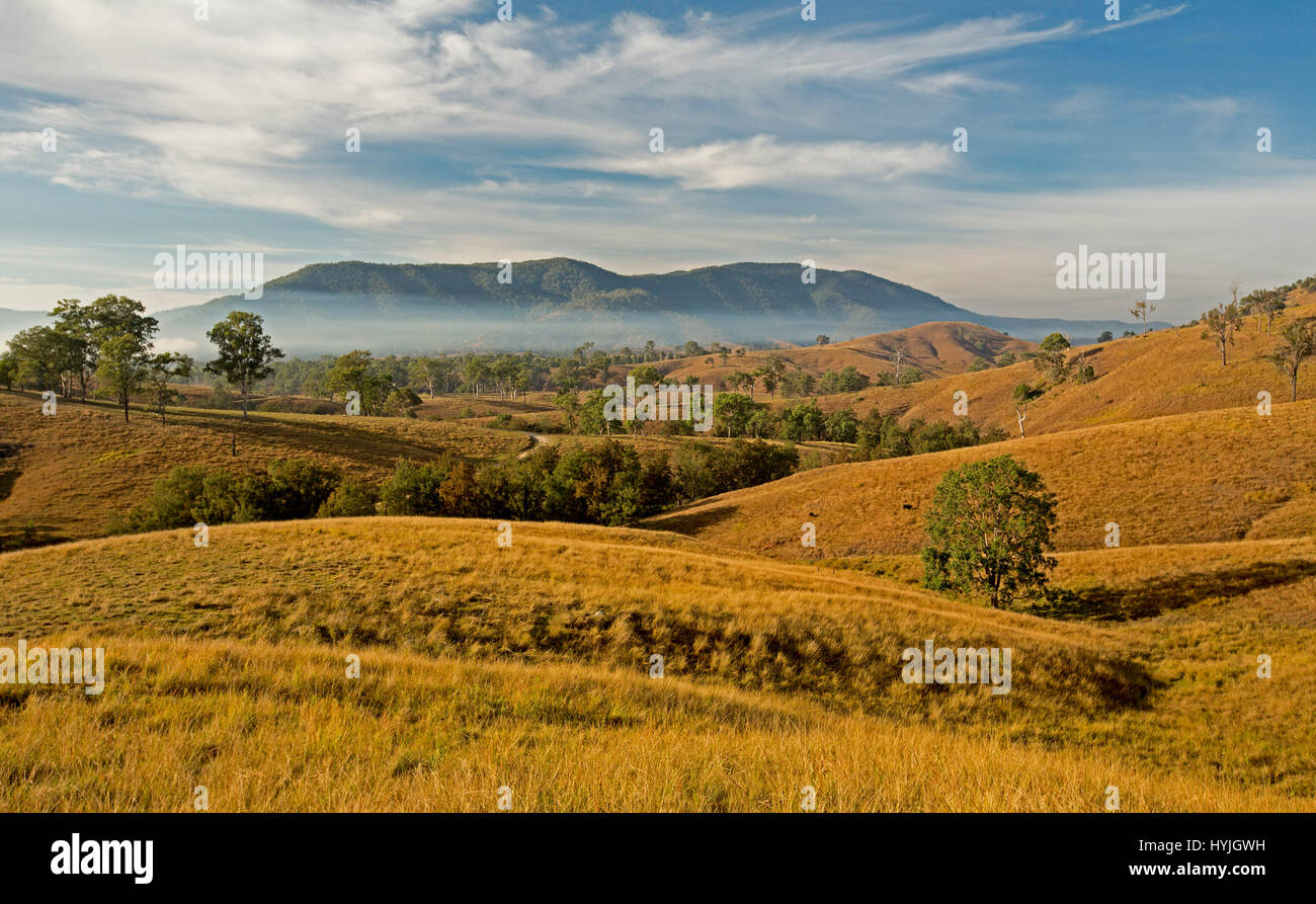 Weiten ländlichen Landschaft in der Morgendämmerung mit sanften Hügeln mit goldene Gräser, Bäume, Nebel und Berge am Horizont unter blauem Himmel im nördlichen New South Wales Aust Stockfoto