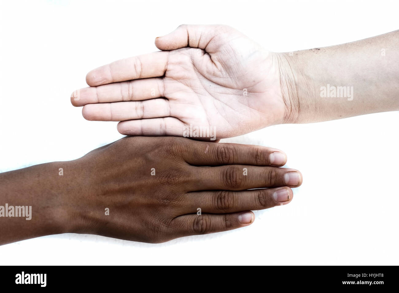 Eine weiße und eine schwarze Hand isoliert auf weiss. Konzept des Rassismus. Stockfoto