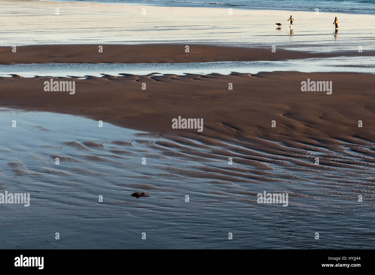 Zwei Personen und einem Hund laufen am Sandstrand bei Ebbe bei Sonnenuntergang am Meer Stockfoto