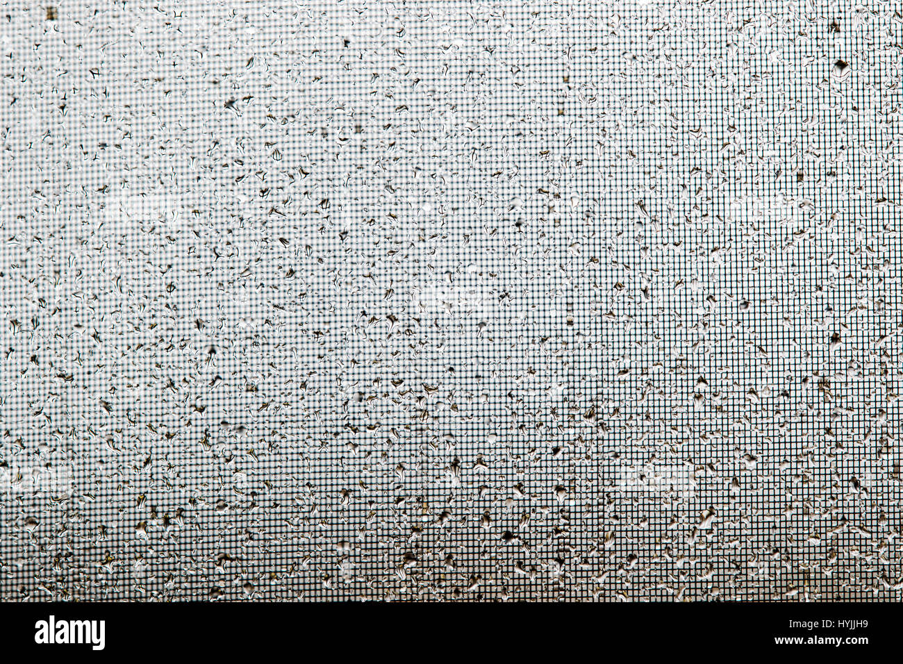 Nahaufnahmen von Regentropfen auf einem Fensterglas & Bildschirm Stockfoto