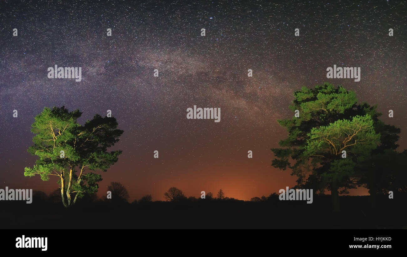 Sterne im Nachthimmel über Wald. Lyrische Nachtszene mit hellen Milchstraße. Freiraum für Text in der Mitte am Sternenhimmel Hintergrund. Schöne Nacht Stockfoto