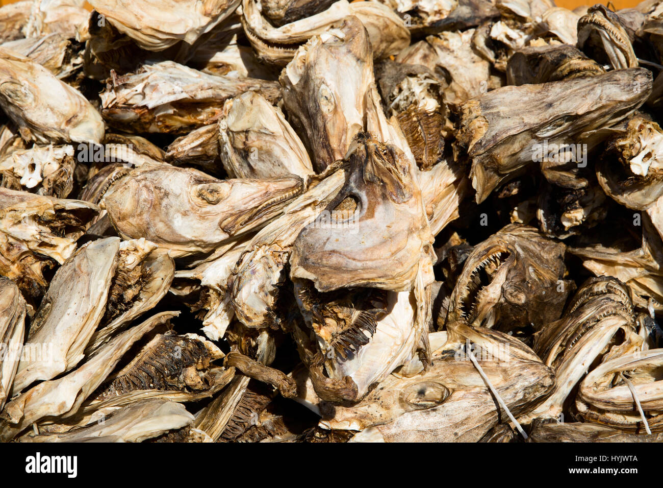 Europa, Norwegen, Lofoten, Sakrisoy, Fischerdorf, Stockfisch-shop Stockfoto