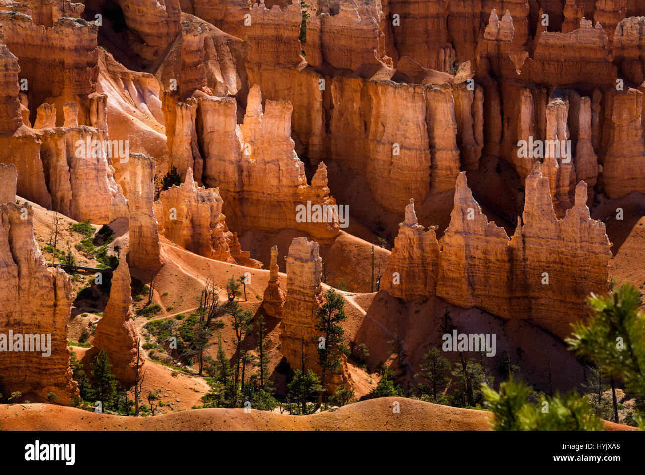 USA, Utah, Bryce Canyon Nationalpark. Das Hauptmerkmal des Parks ist Bryce Canyon, der trotz seines Namens ist keine Schlucht, sondern eine Sammlung von riesigen natürlichen Amphitheater entlang der östlichen Seite des Paunsaugunt Plateaus Stockfoto