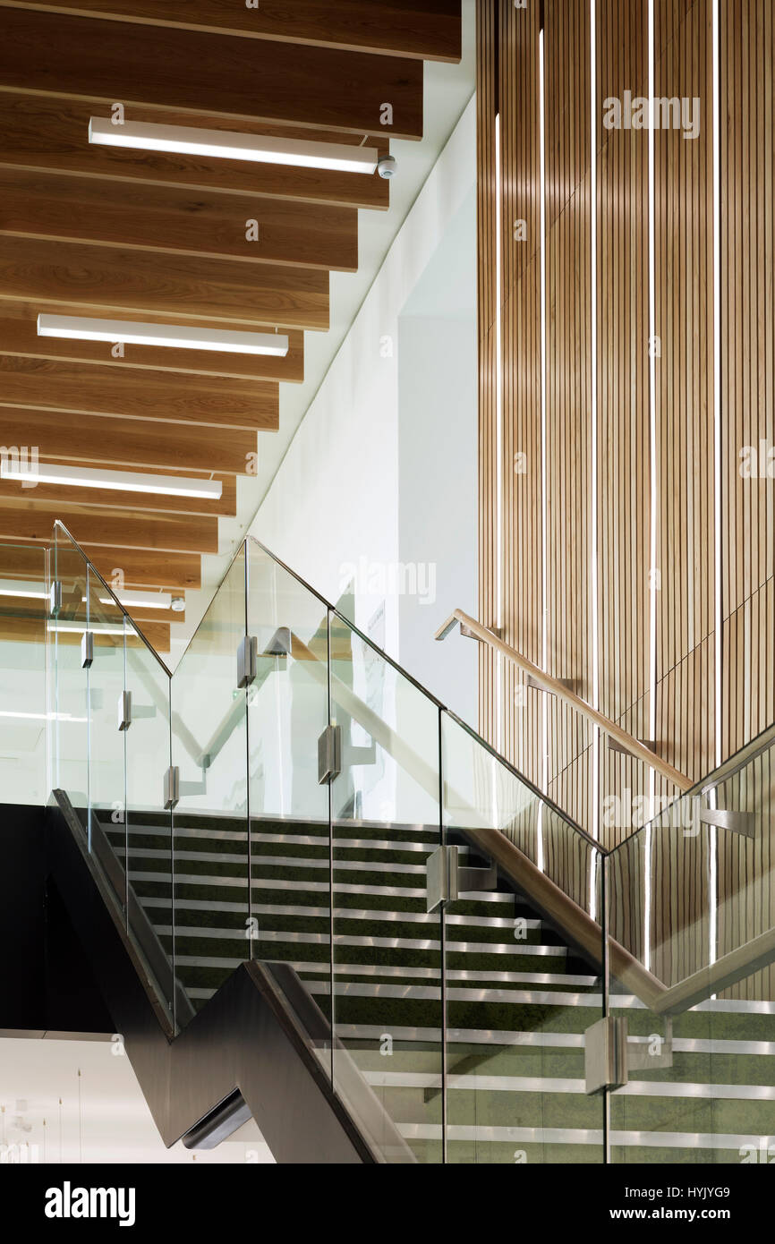 Detailansicht der Treppe. Jenner Buillding Pirbright Institute, Guildford, Großbritannien. Architekt: NBBJ, 2017. Stockfoto