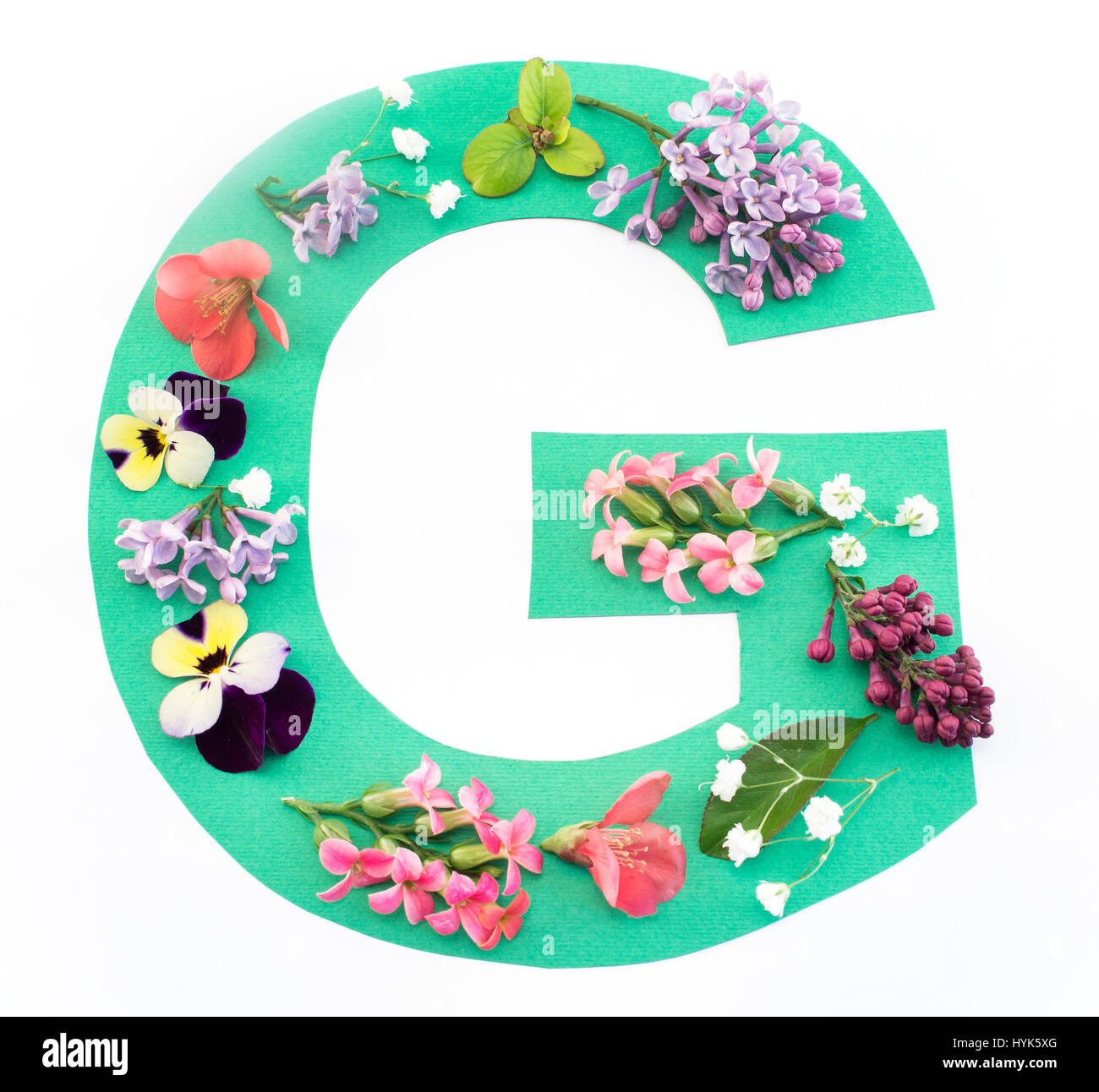 Buchstabe G gemacht von Frühlingsblumen und Papier auf weißem Hintergrund. Stockfoto