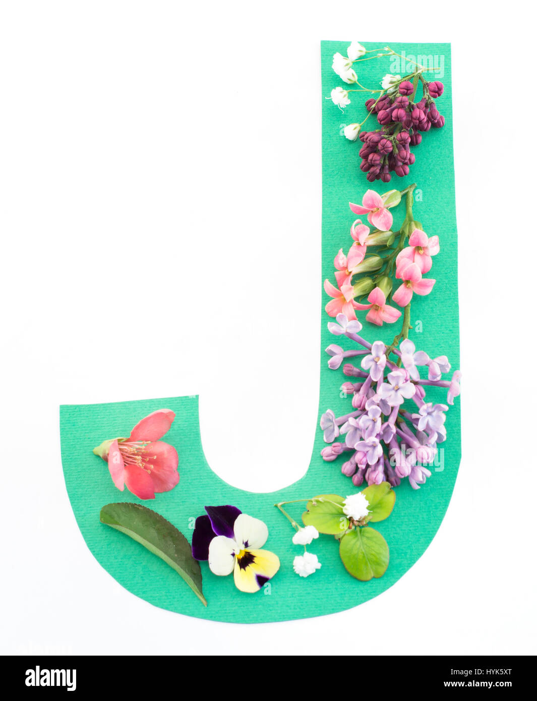 Buchstabe J hat von Frühlingsblumen und Papier auf weißem Hintergrund. Stockfoto