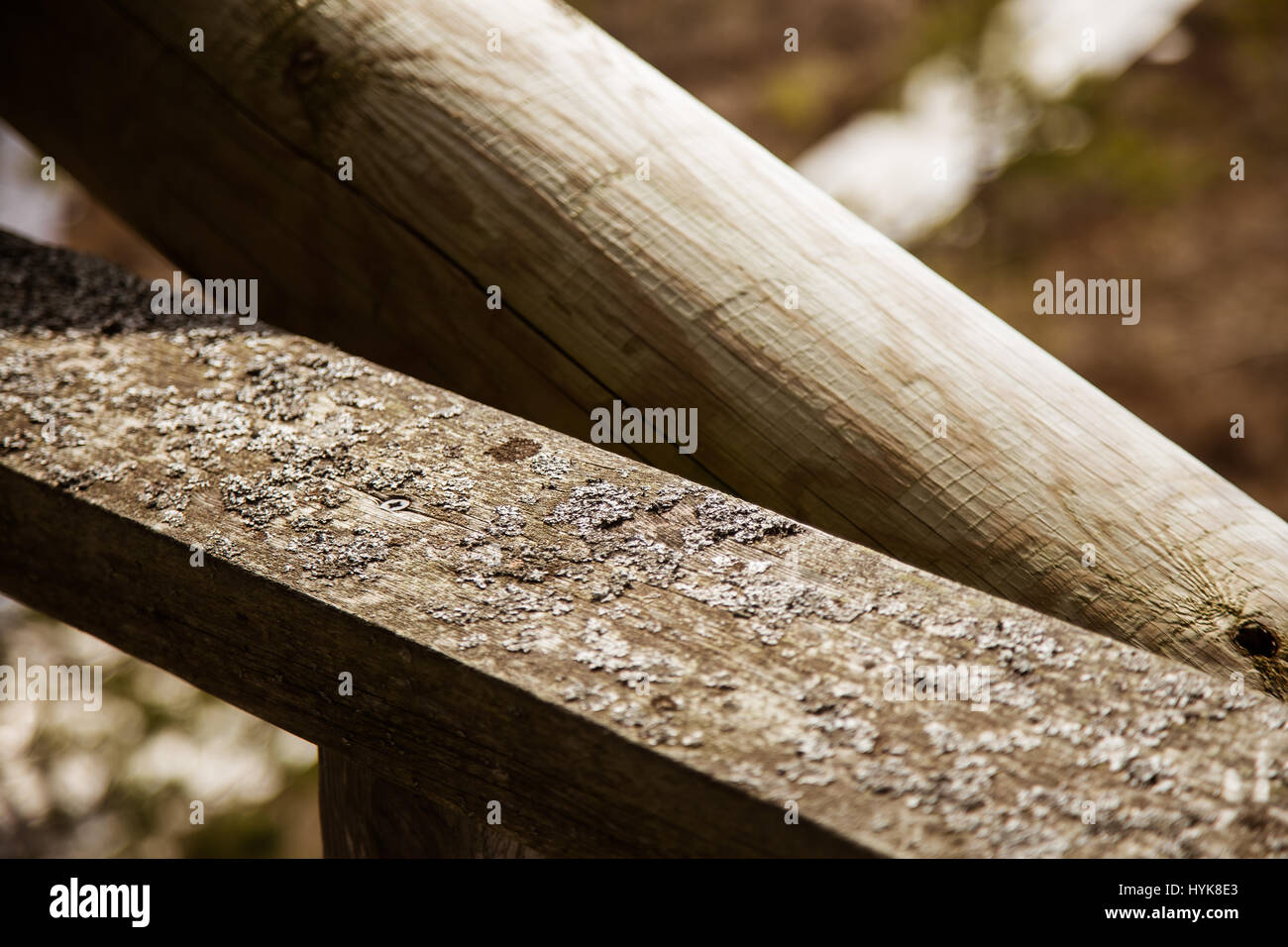 Details zu einem hölzernen Vogelbeobachtung Turm Stockfoto