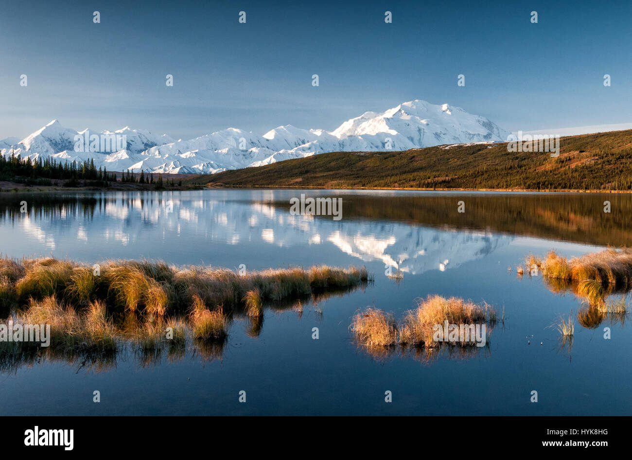 Alaska; Mount Denali; Wonder Lake; Denali National Park Stockfoto
