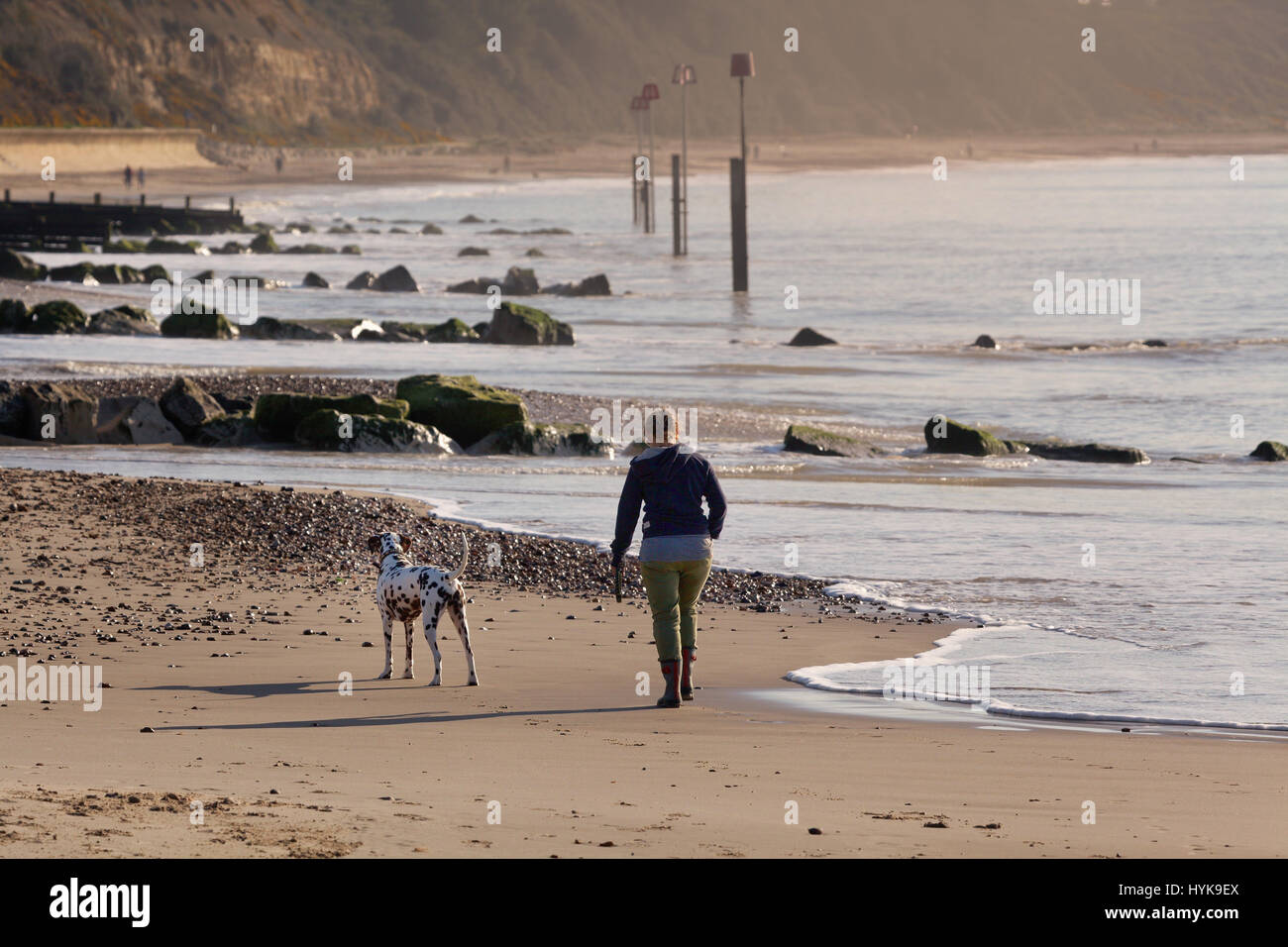 Hund zu Fuß am Strand Stockfoto