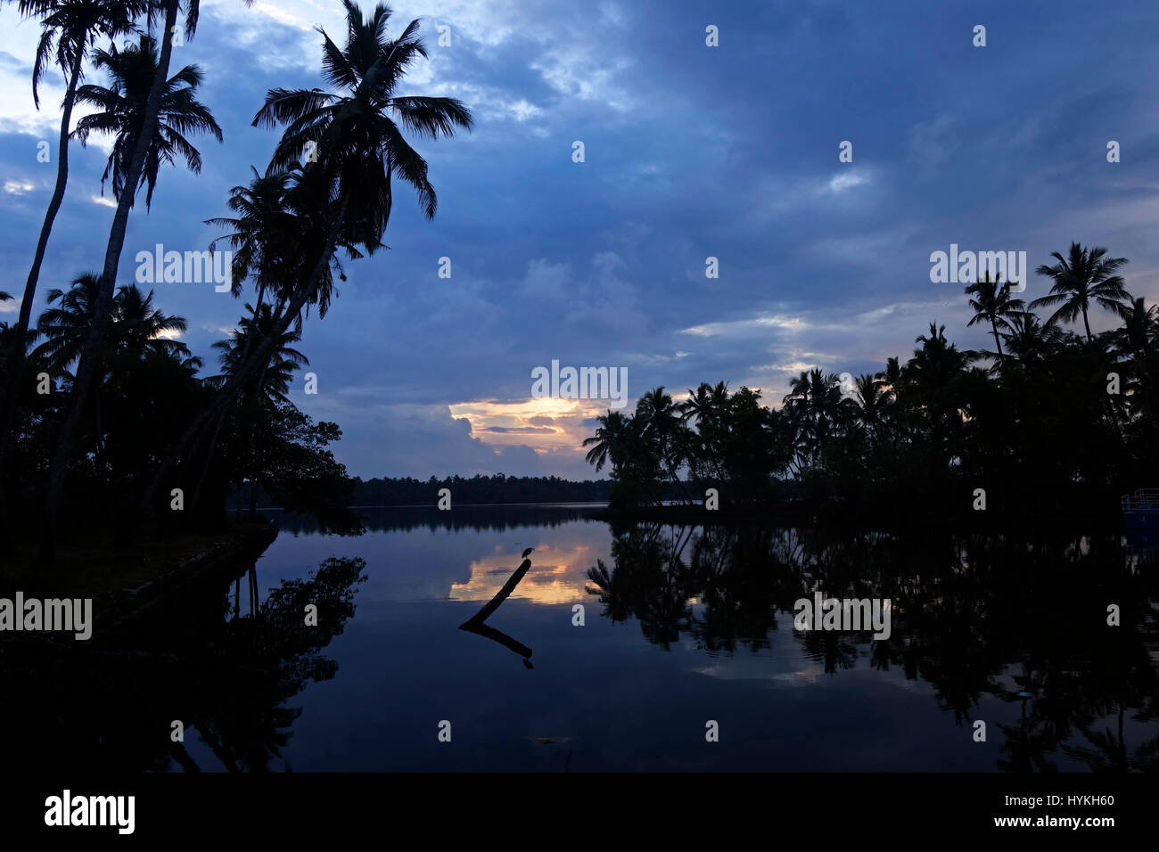 Als Murukkumpuzha aufwachen am Morgen eine Teich-Eagret auf der Suche nach Fisch Stockfoto