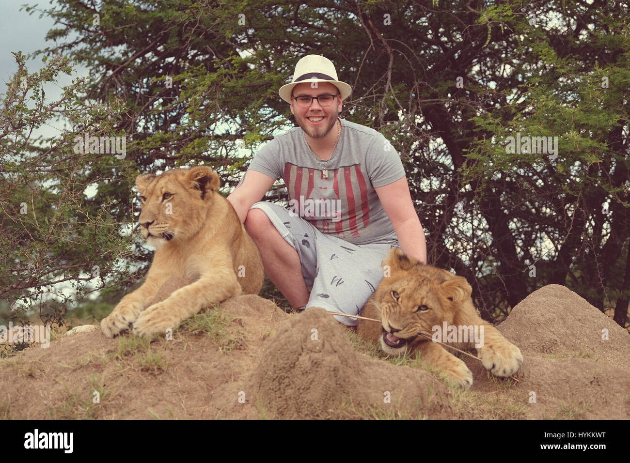 Simbabwe, Afrika: Die Löwen Sanierungsprojekt, bei Antelope Park in Gweru, Simbabwe.  Herzerwärmende Bilder eines Schülers Interaktion mit einigen der majestätischen und gefährliche Tiere der Welt wurden. Bilder zeigen den jungen Mann ein echter Spaziergang auf der wilden Seite mit mächtigen Säugetiere in ihrer natürlichen Umgebung.  Er kann gesehen werden, streicheln und posiert mit 02:17 Monate alten Löwenbabys, Interaktion mit Elefanten und geben sogar ein Schweinchen, ein frecher Schimpanse zurück.  Andere Bilder zeigen einen seltenen Moment von zwei männlichen Erwachsenen Löwen teilen einen intimen Moment der Zuneigung und einem Erwachsenen ein Stockfoto