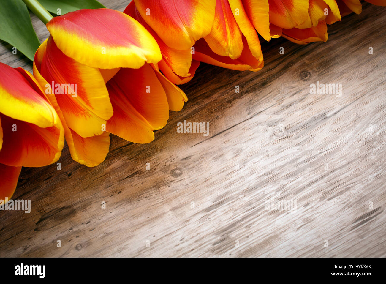 Schöne Orchidee auf Holzbrett Stockfoto