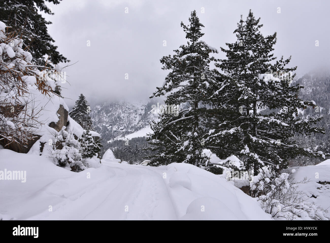 Winterlandschaft im Himalaya, Rakcham, Sangla Tal, Himachal Pradesh Stockfoto