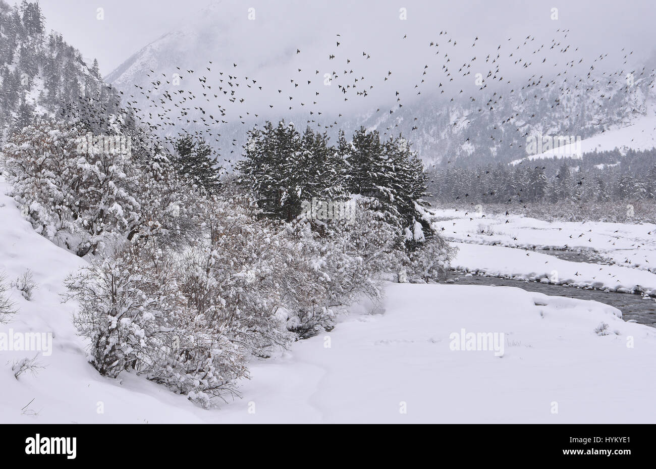 Winterlandschaft im Himalaya, Rakcham, Sangla Tal, Himachal Pradesh Stockfoto