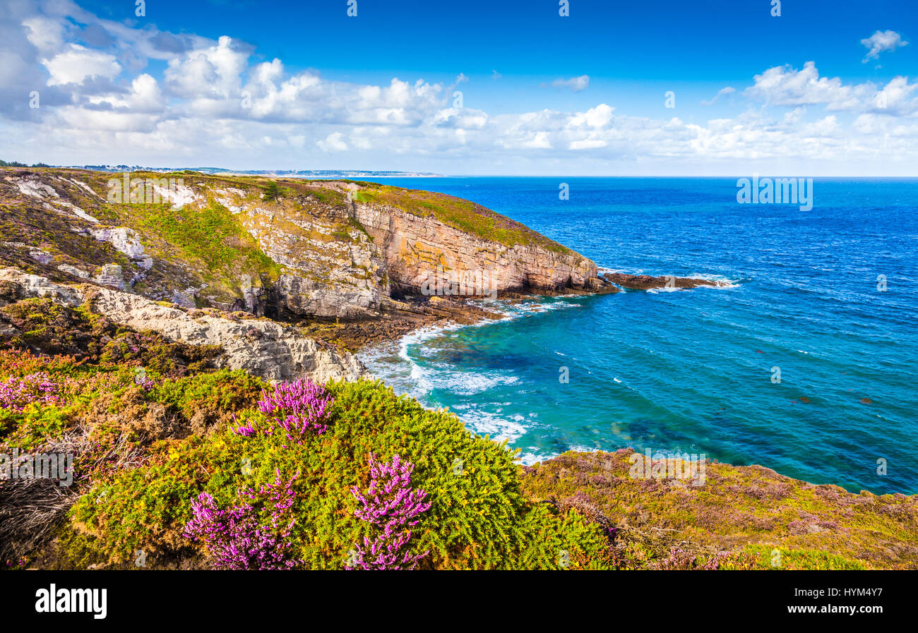 Panoramablick auf der wunderschönen Küstenlandschaft am berühmten Cap Frehel Halbinsel auf der Côte Emeraude, Gemeinde Plevenon, Côtes-d ' Armor, Bretagne, Frankreich Stockfoto