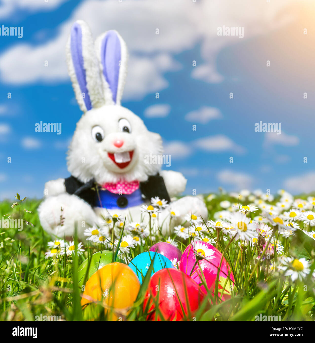 Schöne Aussicht auf die bunten Ostereier mit lustige Osterhasen im Hintergrund an einem sonnigen Tag auf der Wiese liegend Stockfoto
