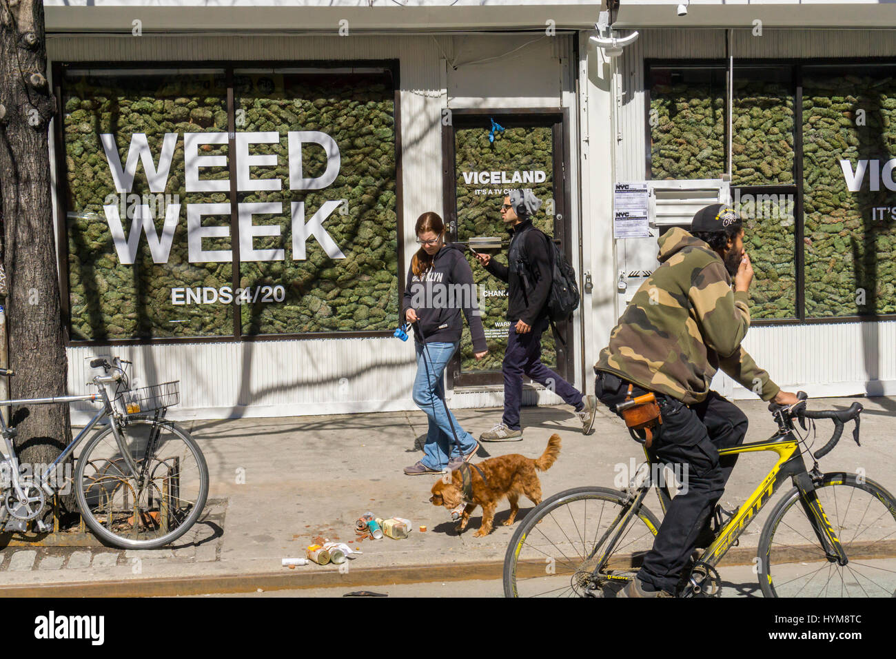 Zwei Schaufenster im Stadtteil Lower East Side von New York sind gefüllt mit "faux" Marihuana auf Mittwoch, 29. März 2017 als Promotion für die so genannte "Unkraut-Woche" Programmierung auf Viceland-TV-Kanal. Die Feier von allen Dingen Marihuana findet auf Viceland-Kabel-Kanal vom 17.-20. April. 20. April ist bekannt als 420 in Cannabiskultur und ist ein Feiertag für Rauchen von Marihuana, vor allem bei 04:20 oder Uhr (© Richard B. Levine) Stockfoto