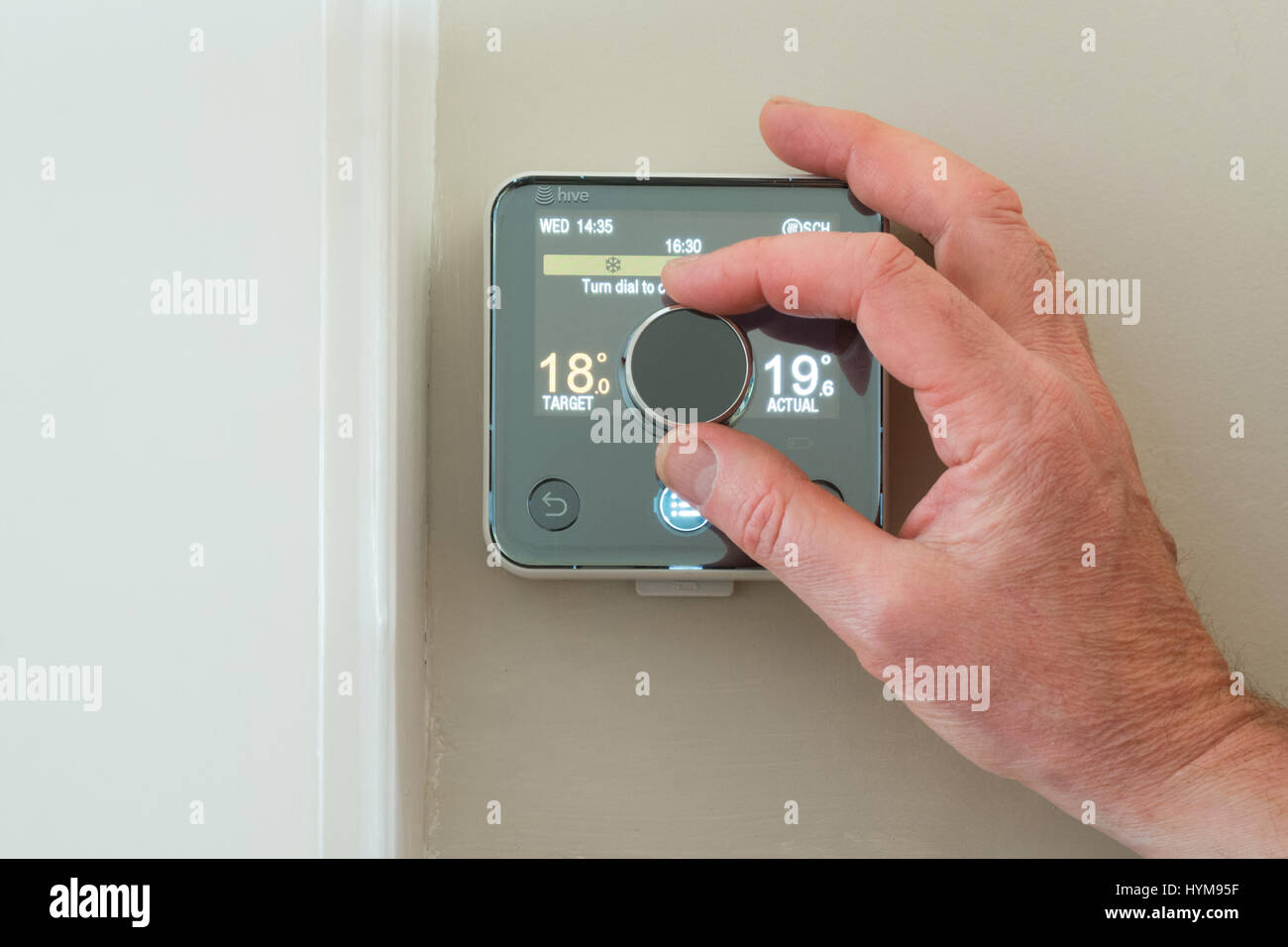 Bienenstock Heizungsthermostat wird durch männliche Hand abgelehnt Stockfoto