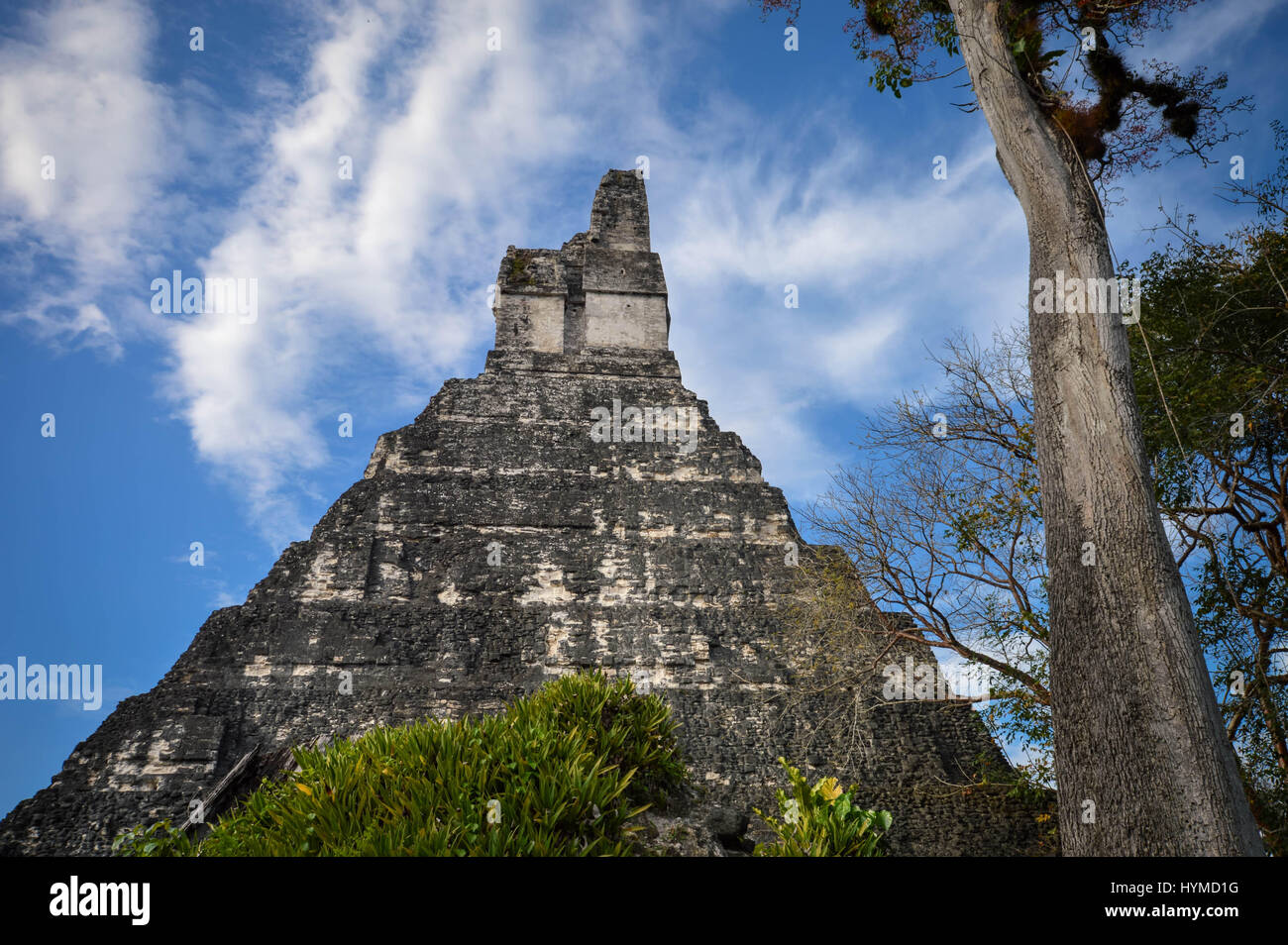 Tempel I von der Maya-Ausgrabungsstätte von Tikal, von der Seite gesehen. Guatemala, Mittelamerika Stockfoto