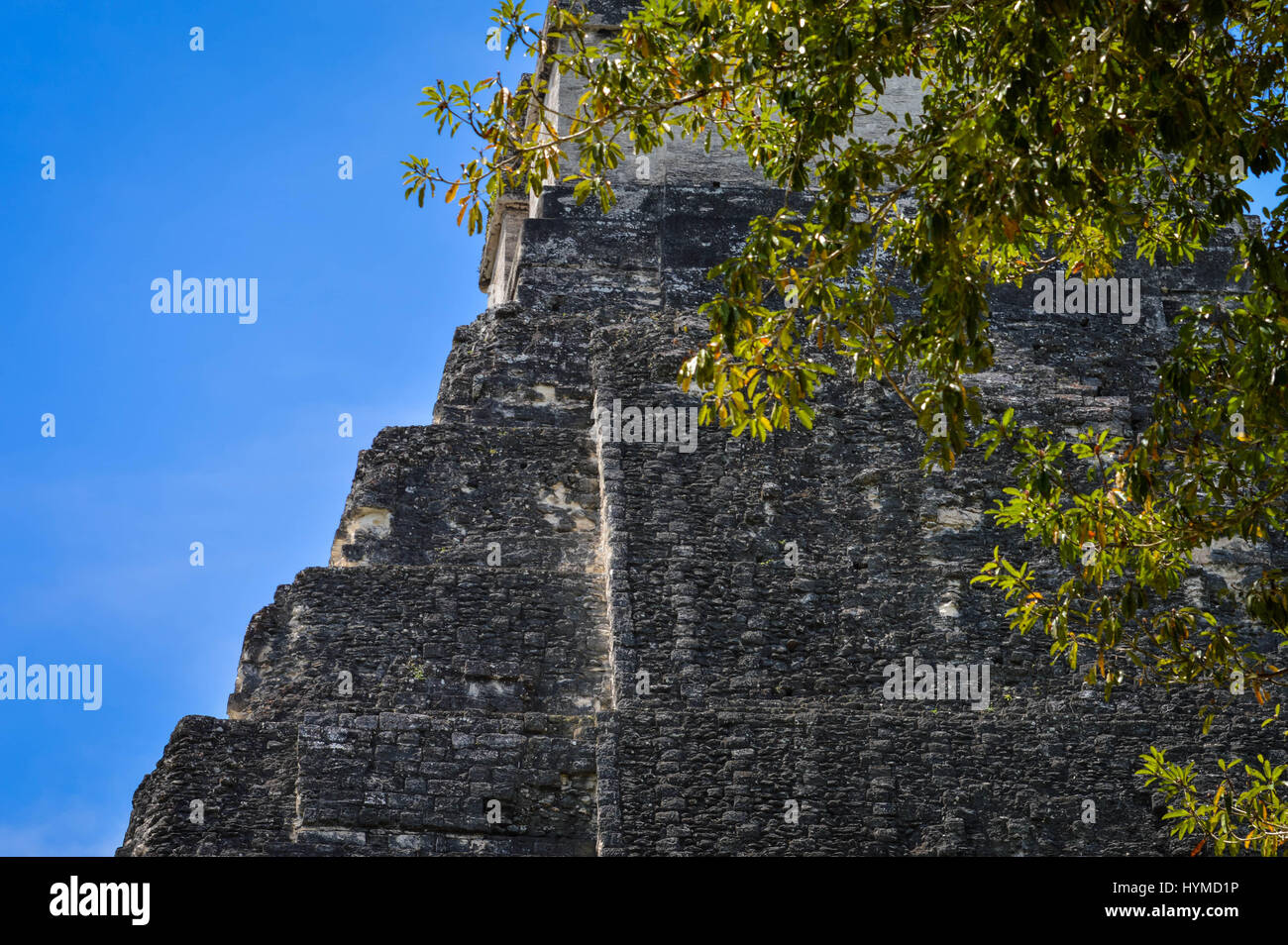 Nahaufnahme des Tempels von der Maya-Ausgrabungsstätte von Tikal in Guatemala. Zentralamerika Stockfoto