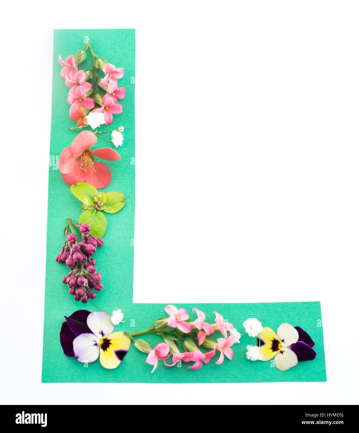 Buchstabe L gemacht von Frühlingsblumen und Papier auf weißem Hintergrund. Stockfoto