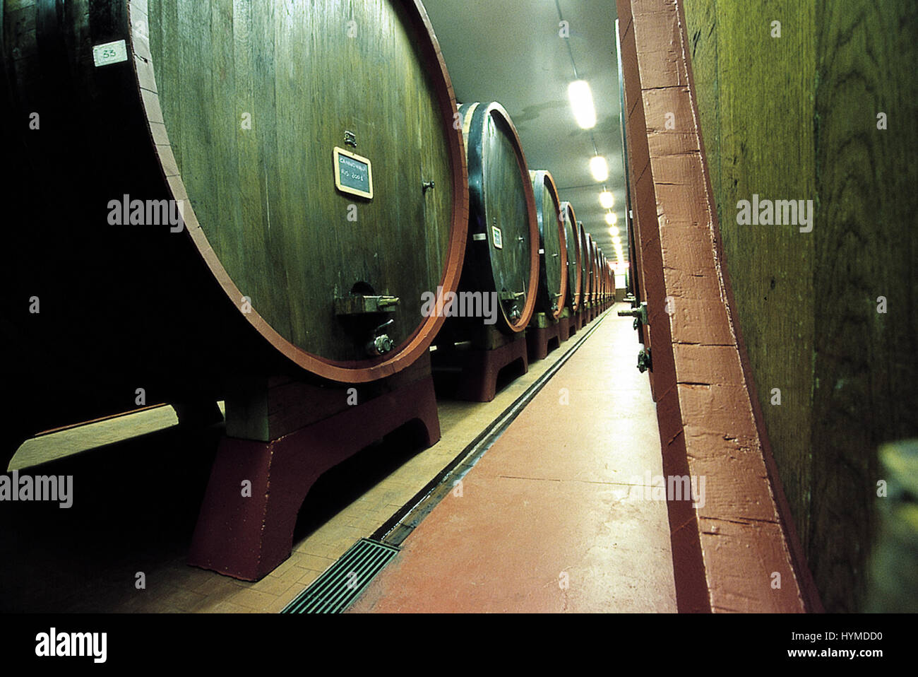 Alghero, Sardinien. Weinkeller Stockfoto