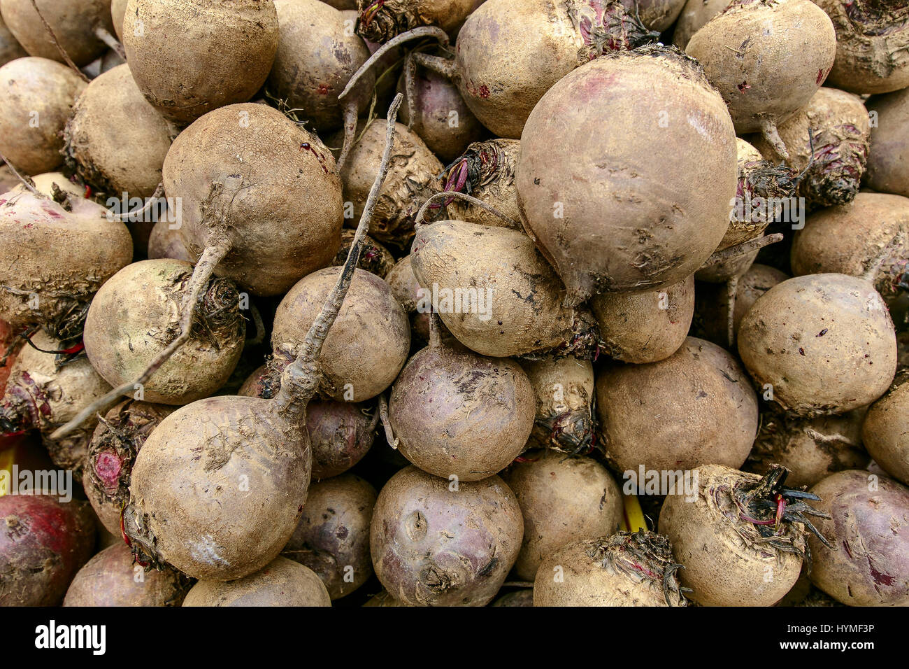 Rüben zum Verkauf an einen Bauernmarkt. Stockfoto