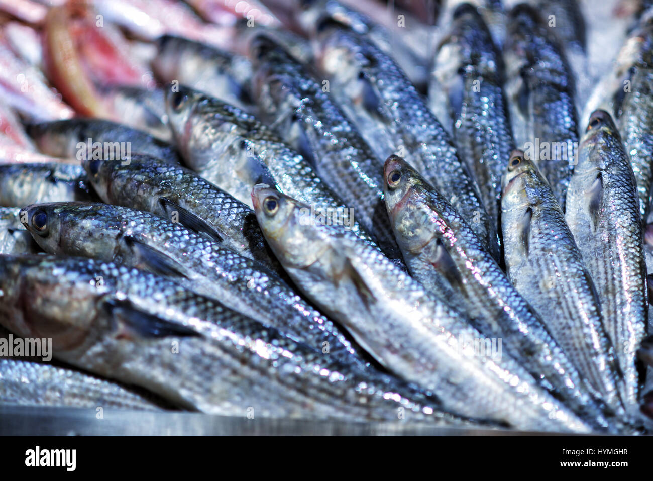 Meeresfrüchte auf Eis am Fischmarkt Stockfoto