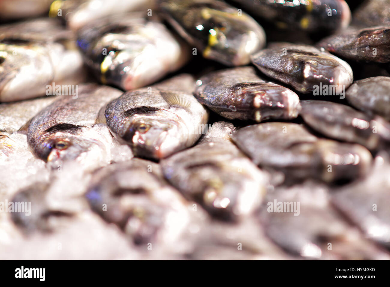 Meeresfrüchte auf Eis am Fischmarkt Stockfoto