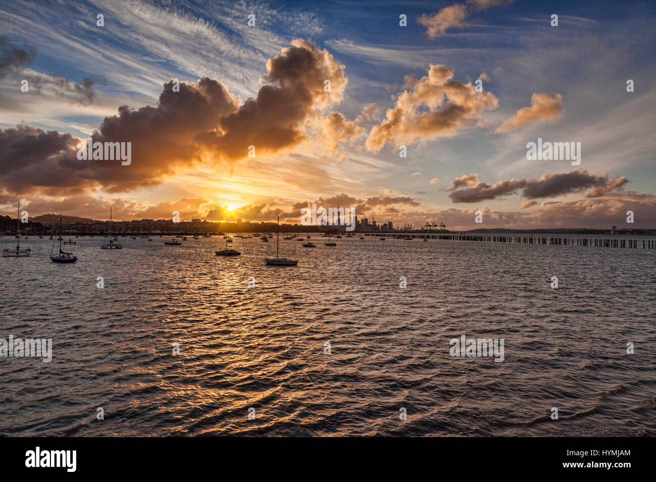 Auckland von Okahu Bay, Neuseeland, bei Sonnenuntergang. Stockfoto