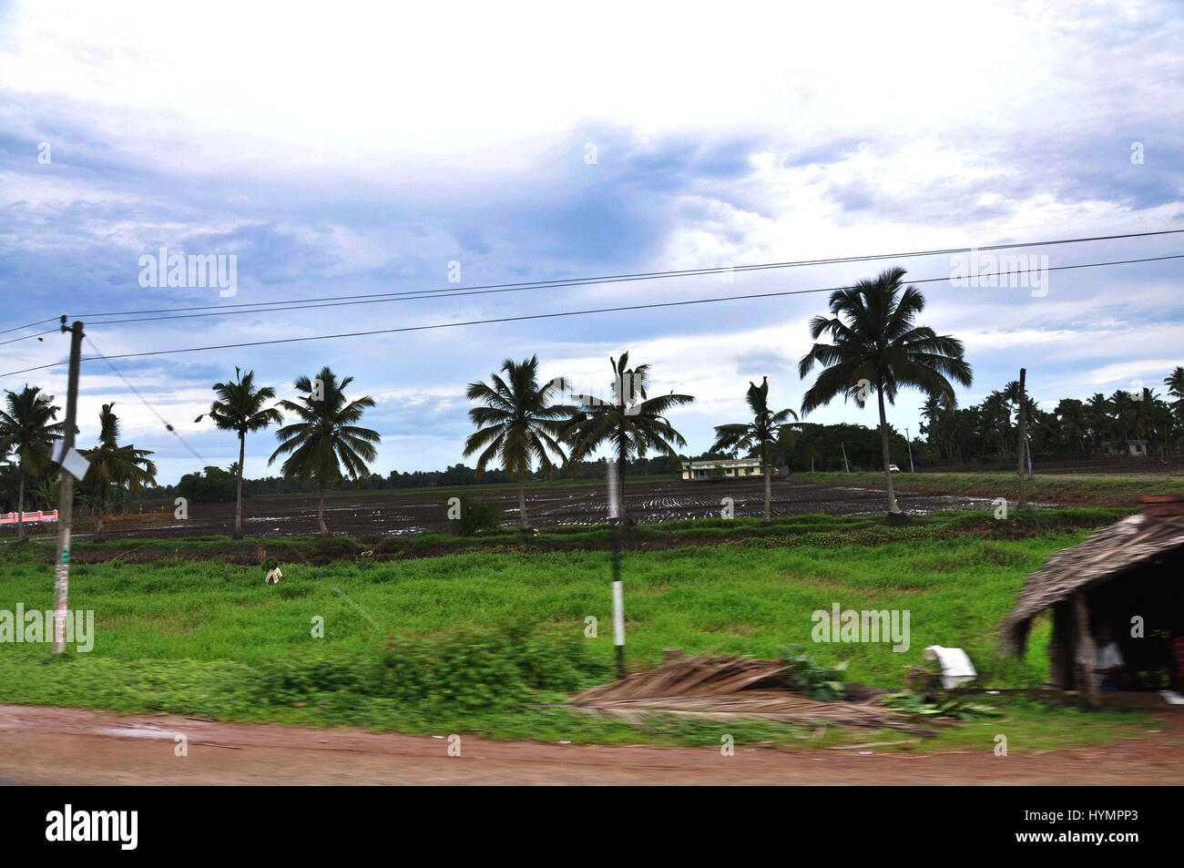 Kerala – Gottes eigenes Land in der westlichen Spitze der Halbinsel Indien (Photo Copyright © by Saji Maramon) Stockfoto