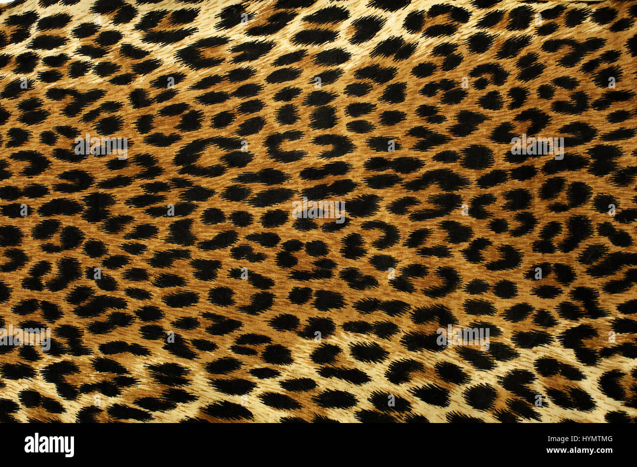 Flecken-Muster eines Leoparden hautnah Stockfoto