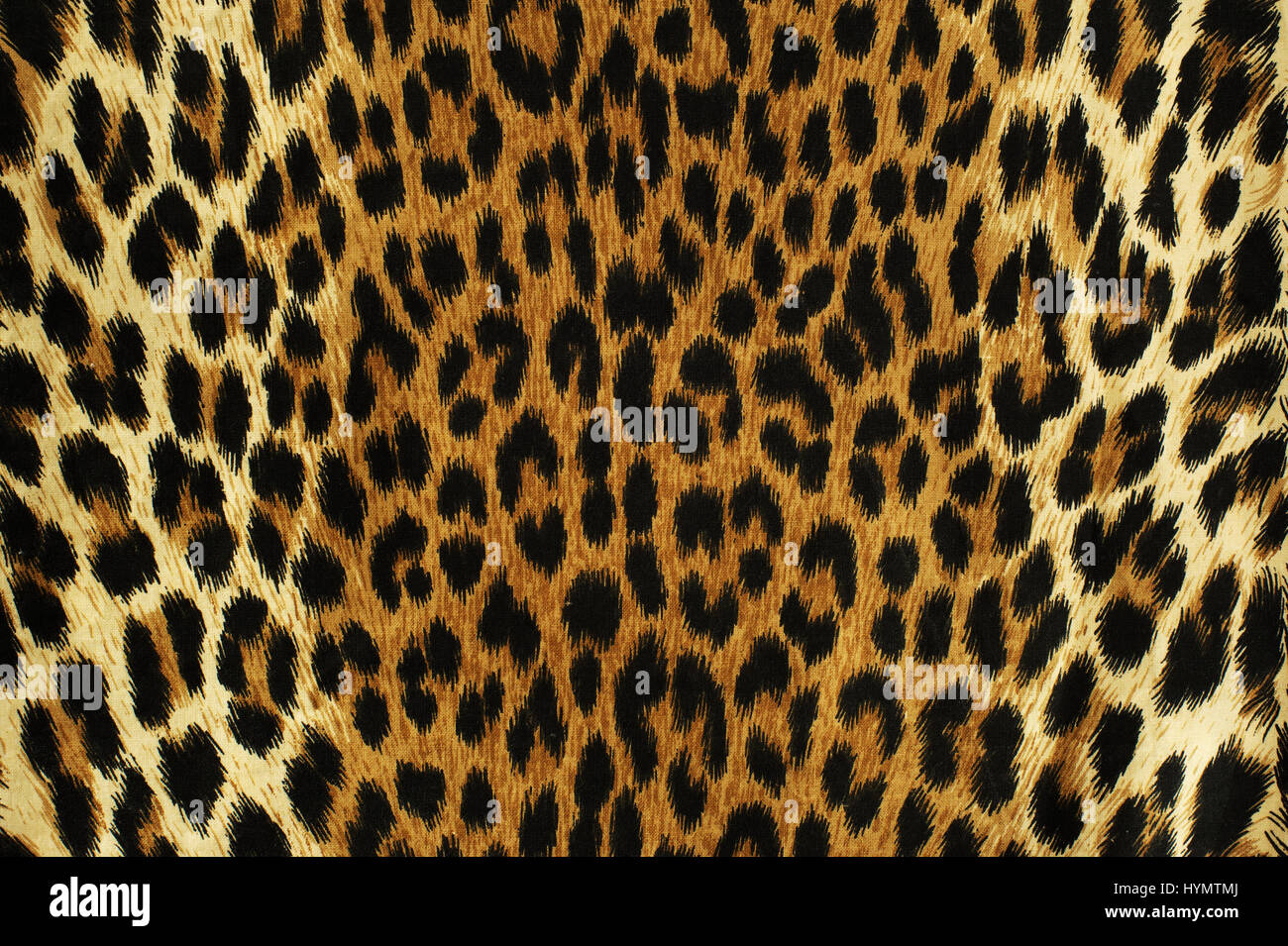Schwarze Flecken von einem Leoparden hautnah Stockfoto