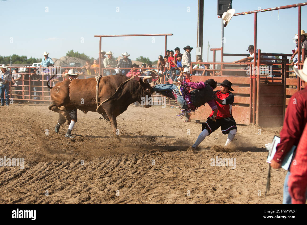 Ein Cowboy ist aus einem bucking Bull während ein Crow-Indianer-Reservat Rodeo ausgelöst. Stockfoto