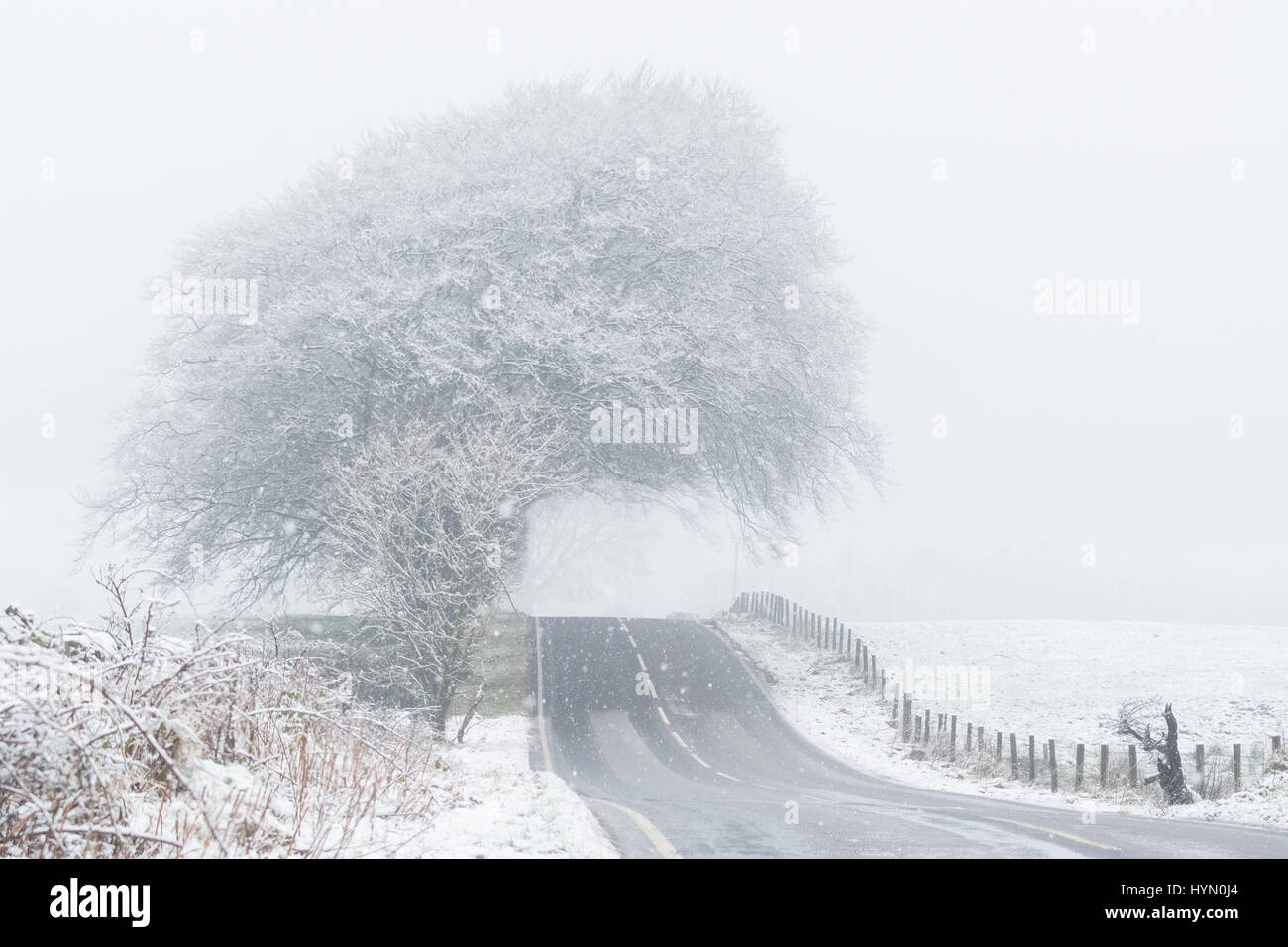 leere Straße mit Schnee und Nebel in Stirlingshire, Schottland, Vereinigtes Königreich Stockfoto