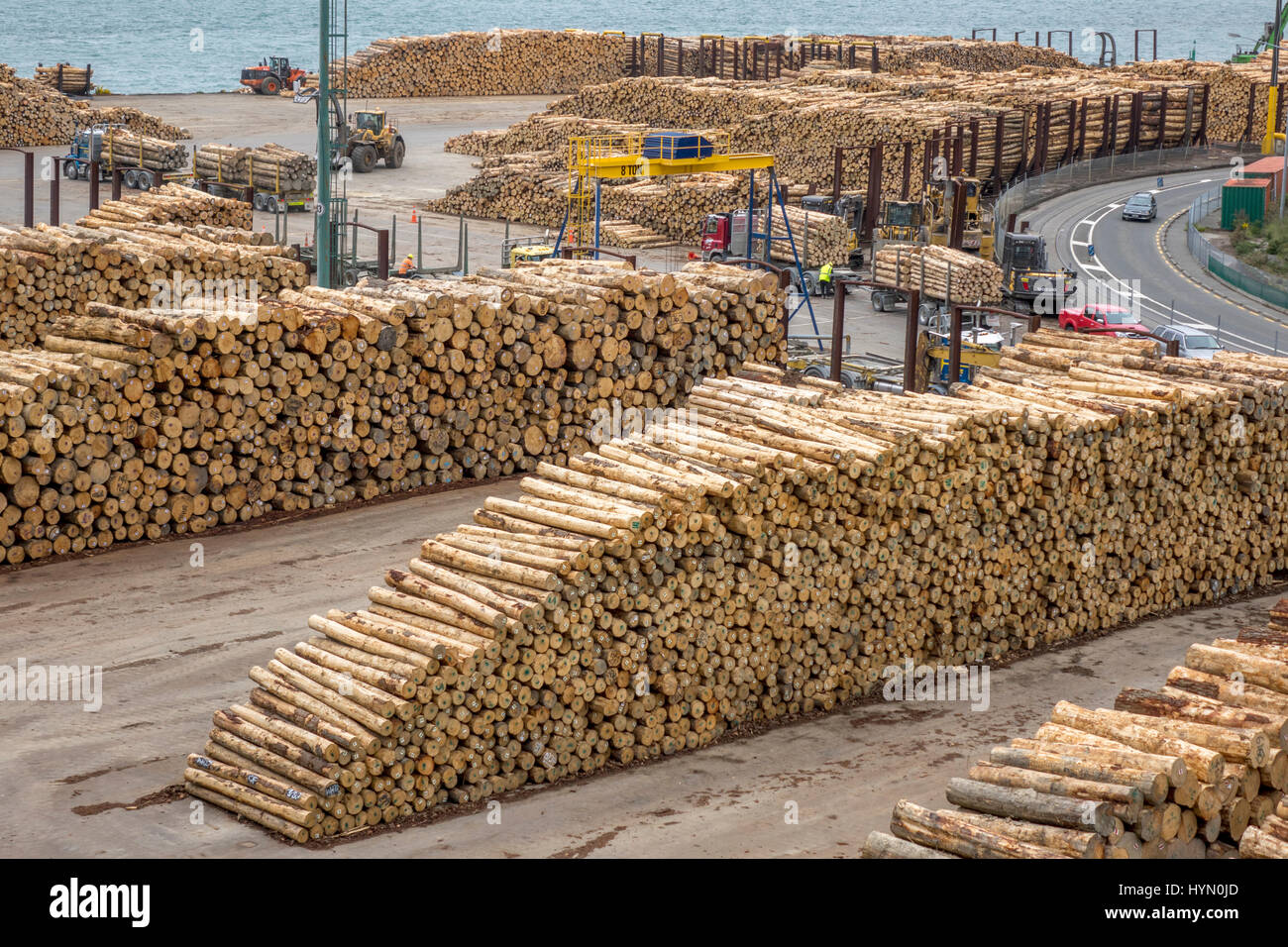 Baum meldet Sawlogs stapeln sich bereit für den Versand von Port Chalmers, in der Nähe von Dunedin, Neuseeland Stockfoto