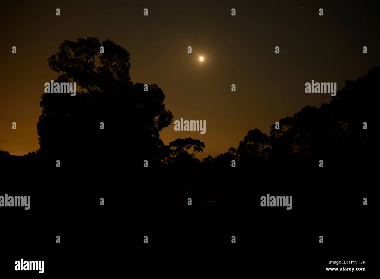 Mondlicht auf Cardinia Reservoir, Victoria Stockfoto