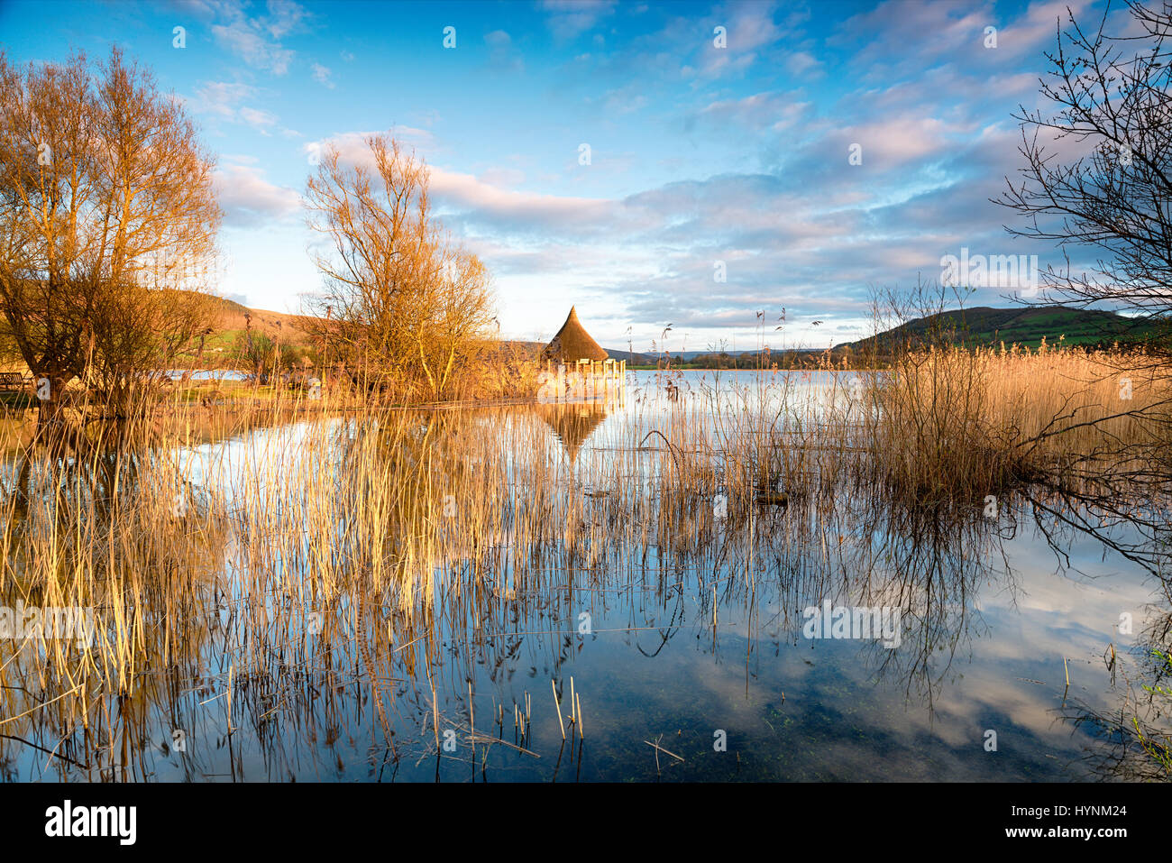 Eine walisische Crannog am Langorse See in den Brecon Beacons Stockfoto