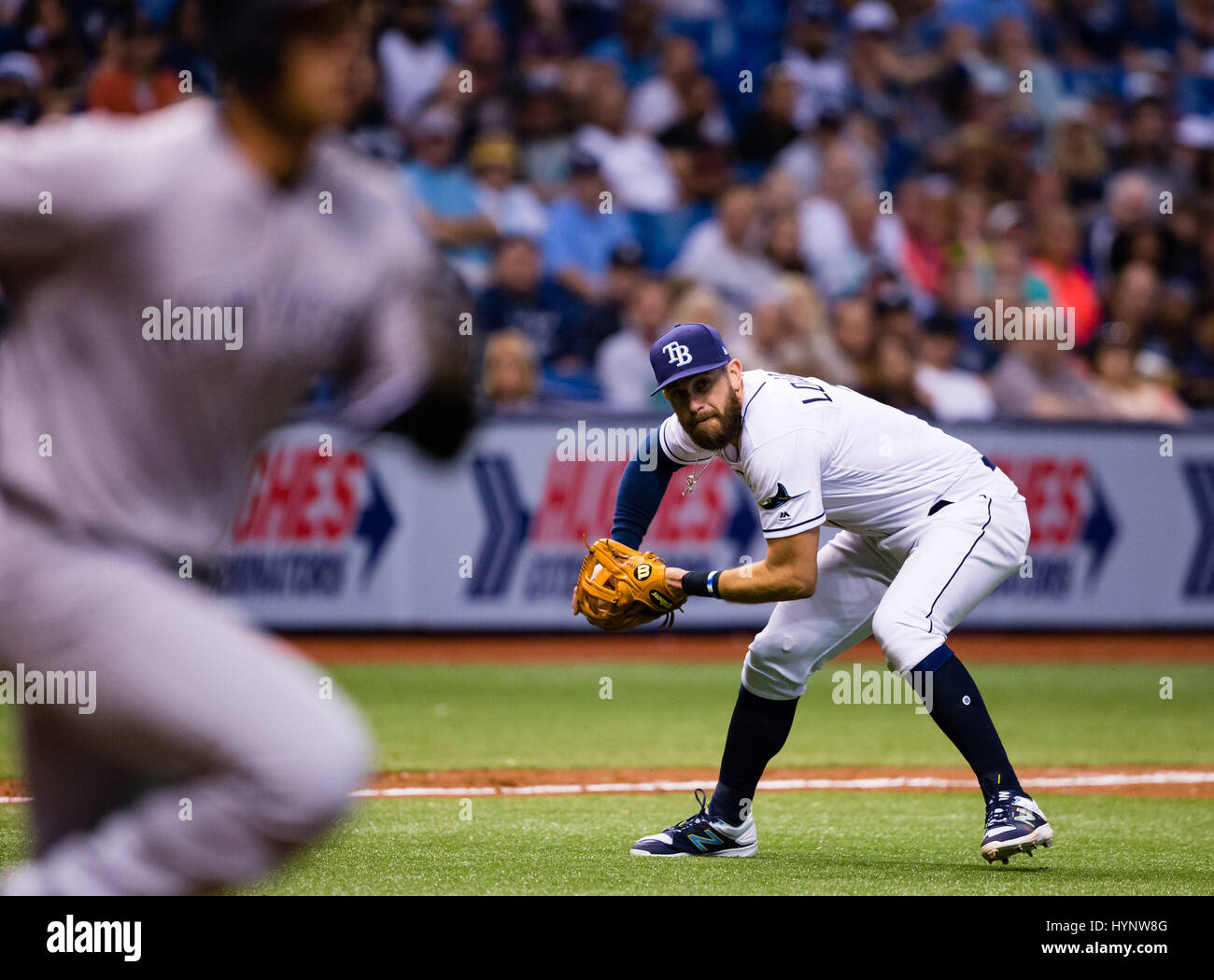 Tropicana Field, Florida, USA. 5. April 2017. Florida, USA-Tampa Bay Rays dritte Baseman Evan Longoria (3) Felder New York Yankees erster Basisspieler Greg Bird (33) Bunt im 6. Inning im Spiel zwischen den Yankees und die Sonnenstrahlen im Tropicana Field, Florida, USA. Del Mecum/CSM/Alamy Live-Nachrichten Stockfoto