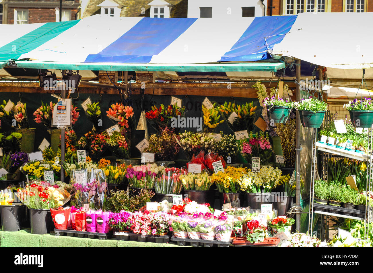 Market flower stall in cambridge Fotos und Bildmaterial in hoher