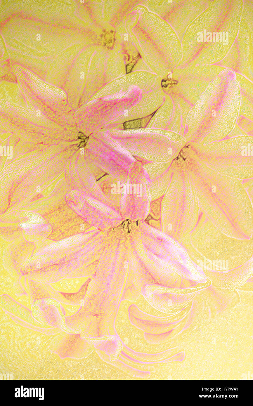 Foto eingekauft Hyazinthe Blüte Stockfoto