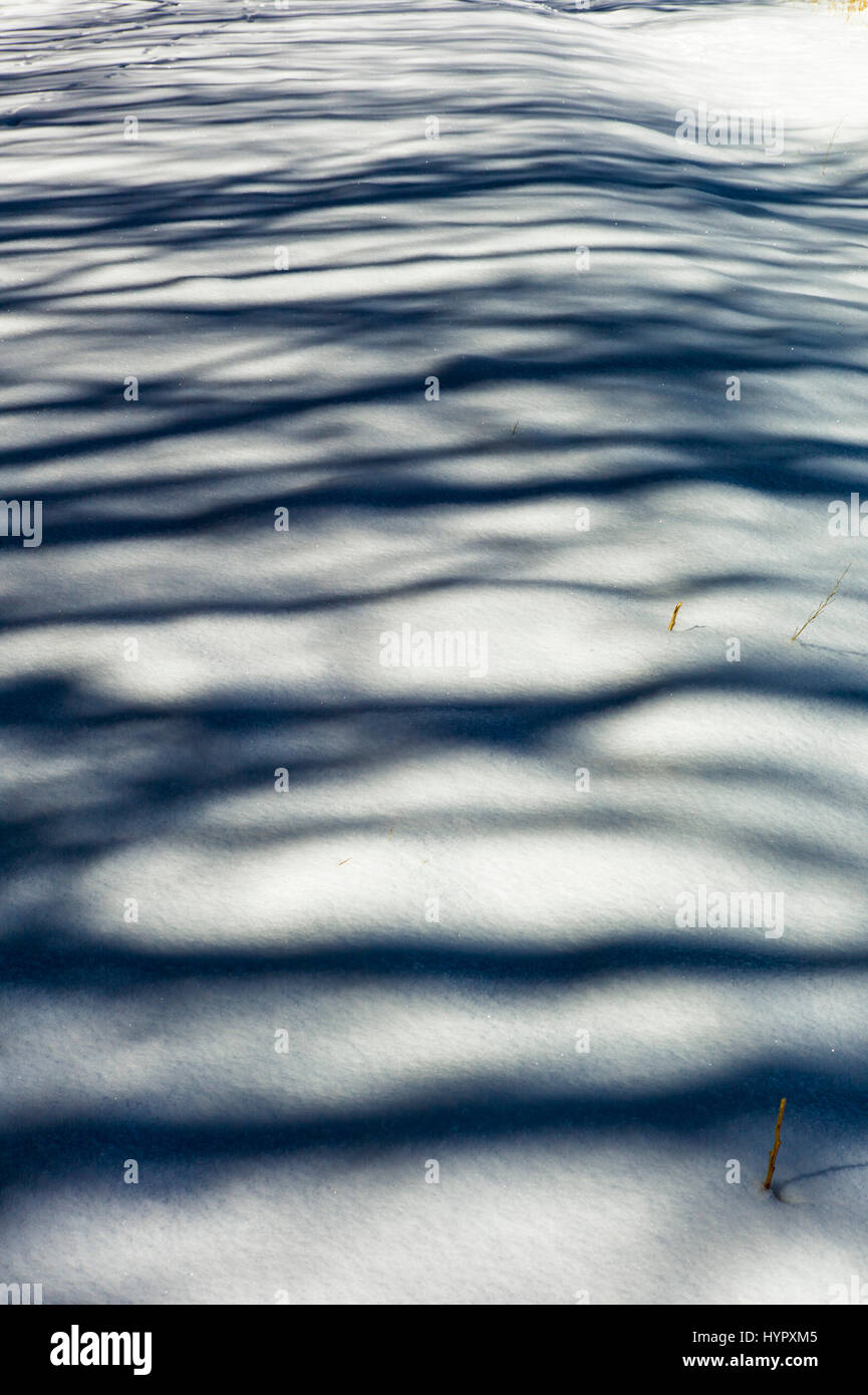 Bäume schaffen geheimnisvollen Schatten abstrakte Muster auf Neuschnee Stockfoto