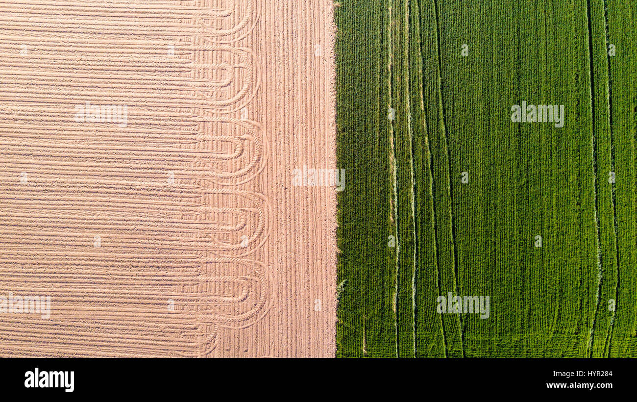 Natur und Landschaft: Luftaufnahme von einem Feld, Anbau, grasgrün, Landschaft, Landwirtschaft, Feldweg Stockfoto