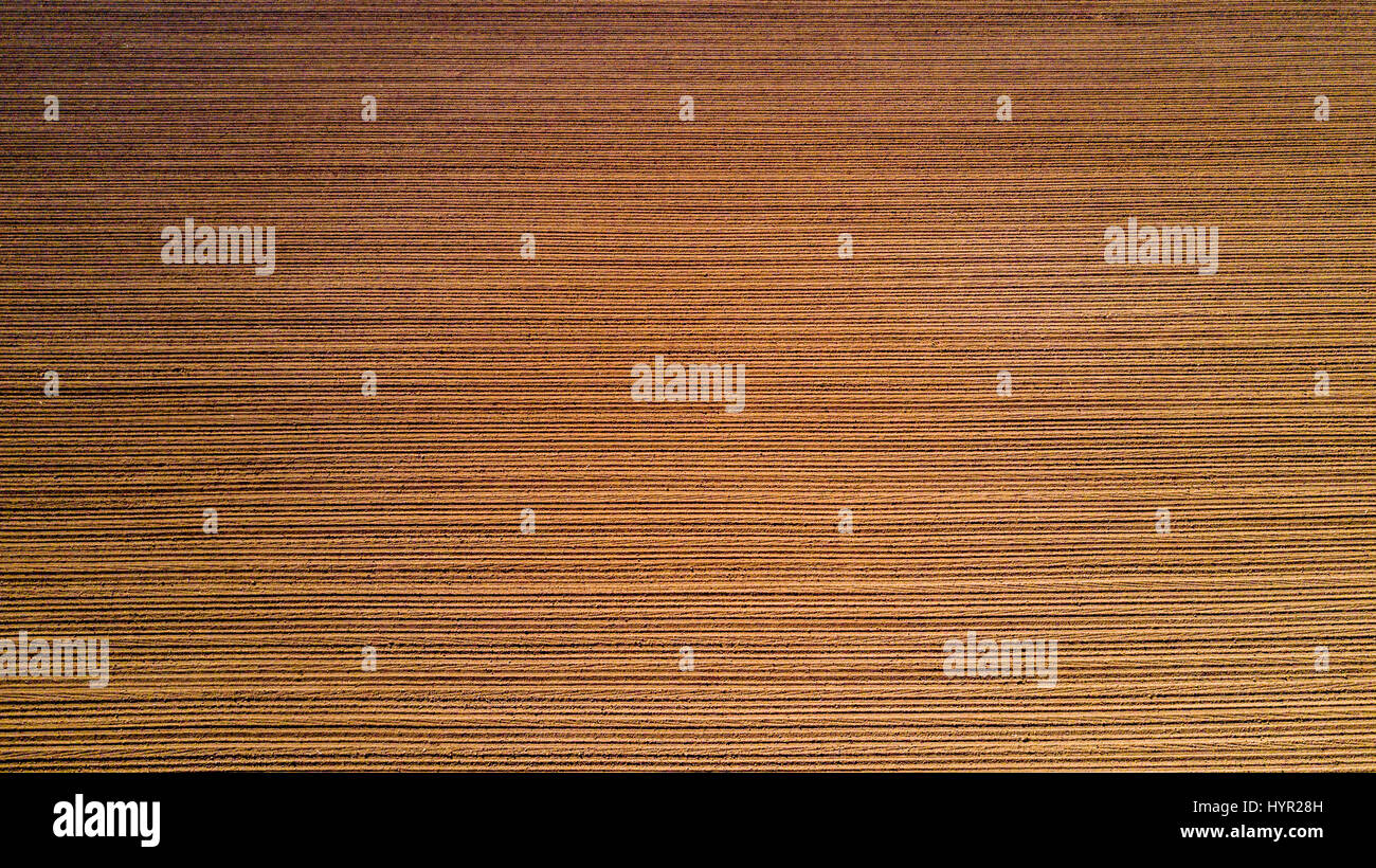 Natur und Landschaft: Luftaufnahme von einem Feld, Anbau, gepflügtes Feld, Landschaft, Landwirtschaft, Stockfoto