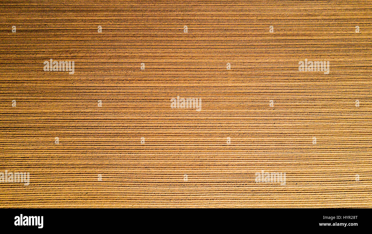 Natur und Landschaft: Luftaufnahme von einem Feld, Anbau, gepflügtes Feld, Landschaft, Landwirtschaft, Stockfoto