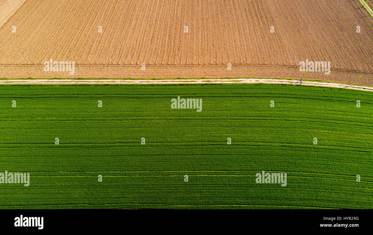 Natur und Landschaft: Luftaufnahme von einem Feld, Anbau, grasgrün, Landschaft, Landwirtschaft, Feldweg Stockfoto