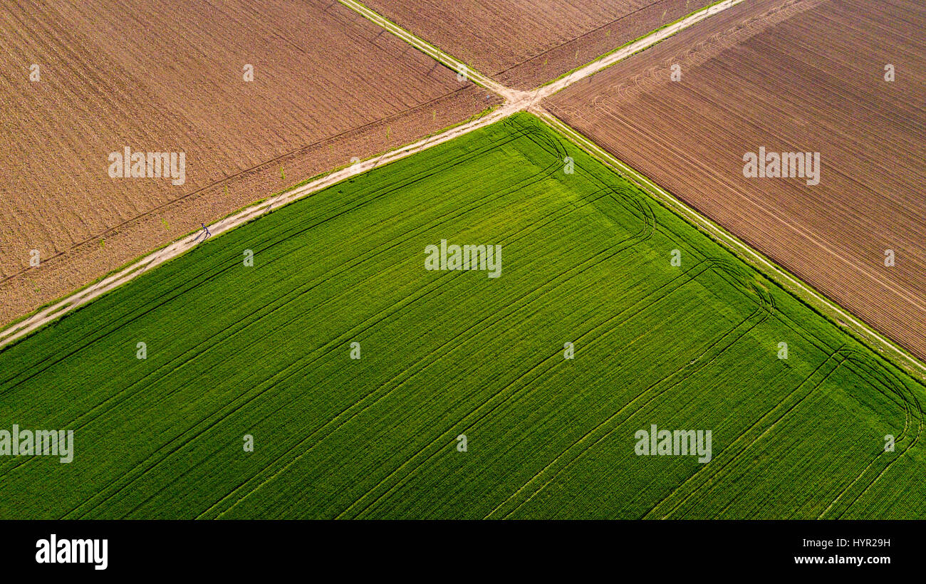 Natur und Landschaft: Luftaufnahme von einem Feld, Anbau, grasgrün, Landschaft, Landwirtschaft, Feldweg Stockfoto