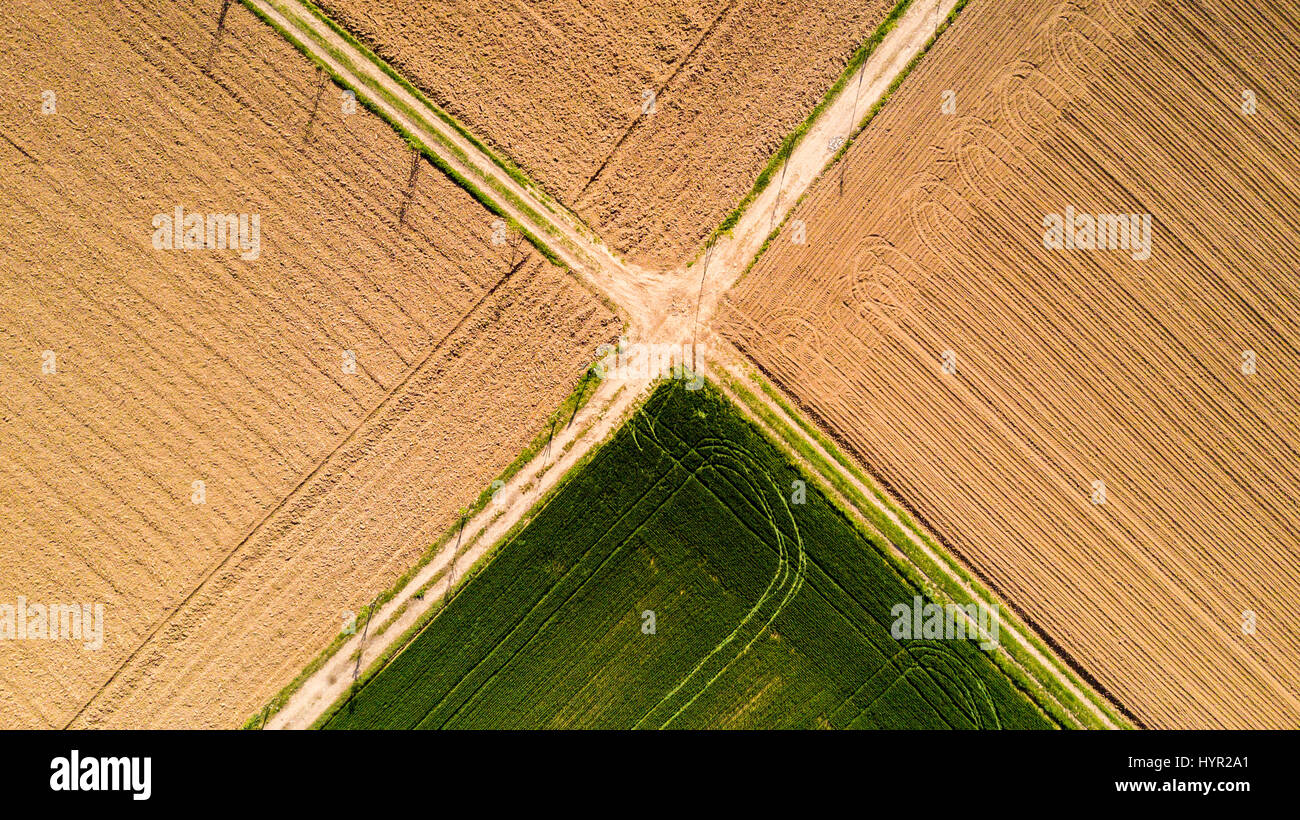 Natur und Landschaft: Luftaufnahme von einem Feld, Anbau, grasgrün, Landschaft, Landwirtschaft, Feldweg Stockfoto