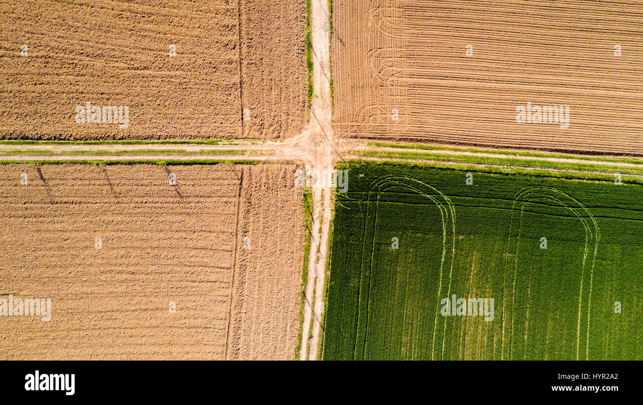 Natur und Landschaft: Luftaufnahme von einem Feld, Anbau, grasgrün, Landschaft, Landwirtschaft, Feldweg Stockfoto